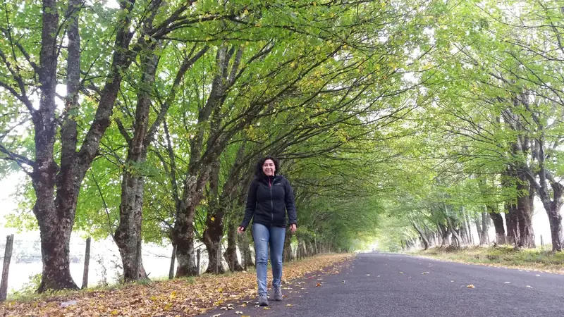 Access road to Riñihue village
