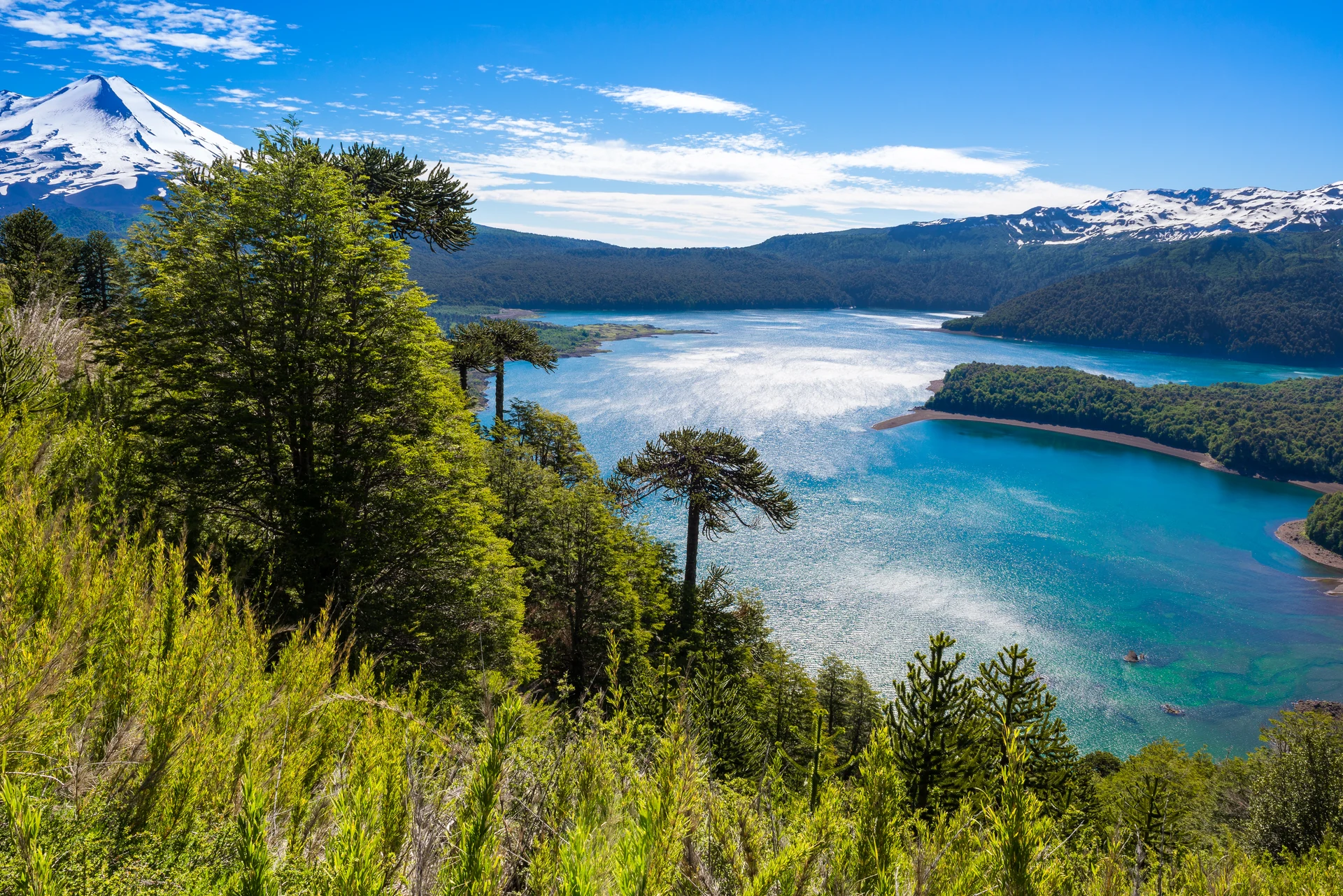 Lake Riñihue & Valdivian Rainforest — Remanso Sur
